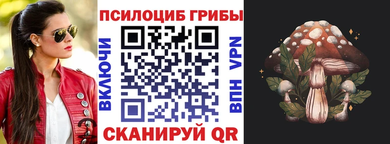 Псилоцибиновые грибы Cubensis  Невьянск 